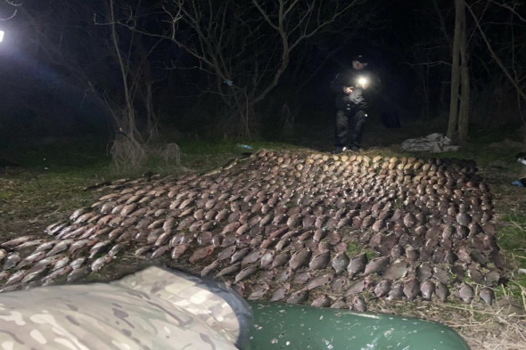 На Днепропетровщине браконьер выловил 200 кг рыбы, нанеся ущерб на 1 млн гривен