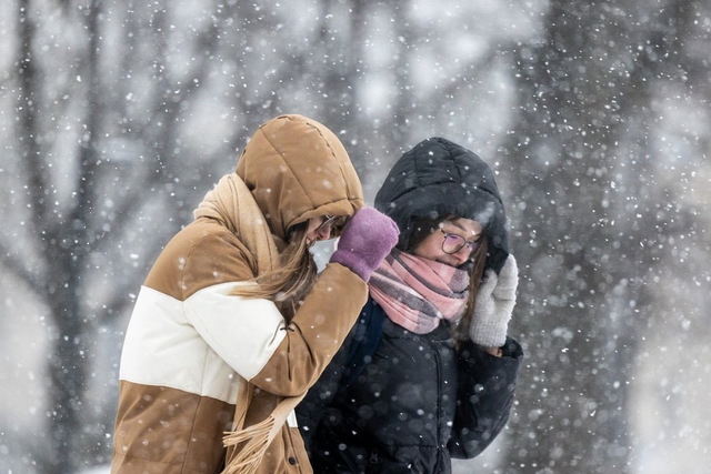 Метель и до 20 сантиметров снега: в Днепре и области ухудшится погода