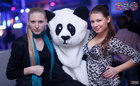 PANDA !  THE RIO CLUB