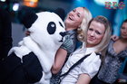 PANDA !  THE RIO CLUB