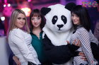 PANDA !  THE RIO CLUB