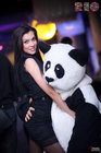 PANDA !  THE RIO CLUB