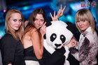 PANDA !  THE RIO CLUB